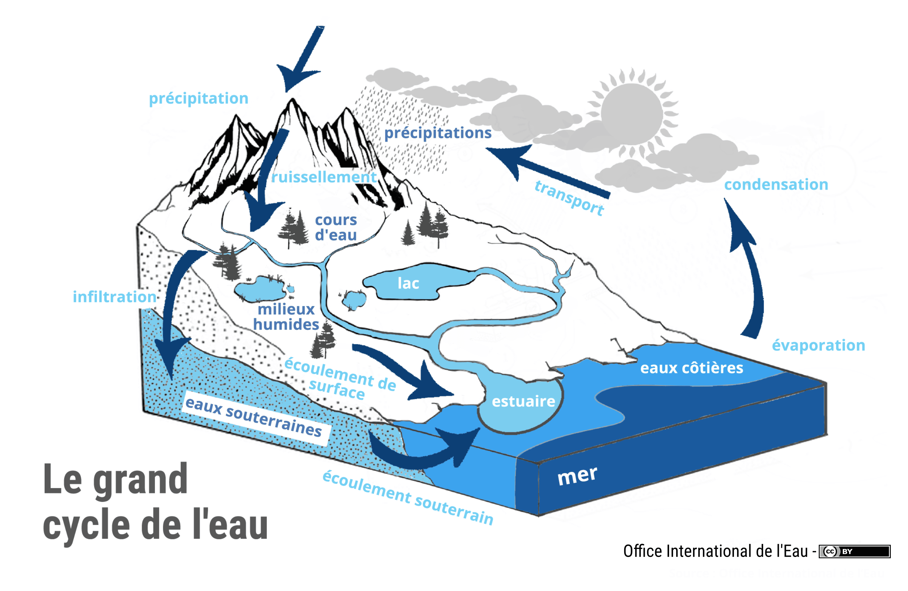 Gestion du cycle de l’eau et changement climatique | IFPEN